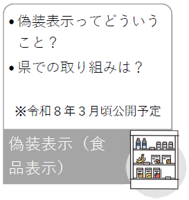 偽装表示（公開予定）