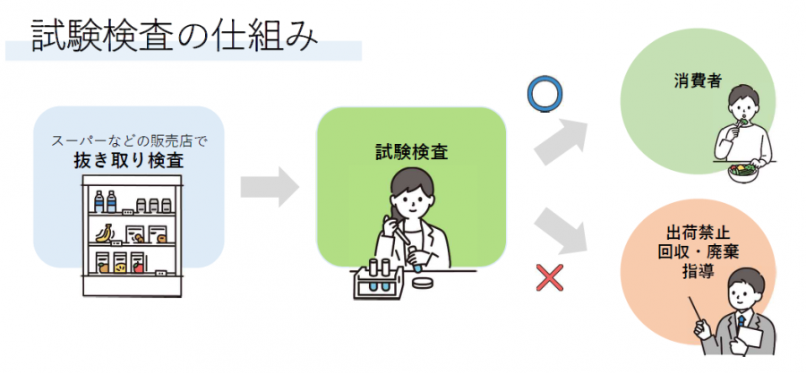 試験検査