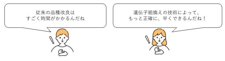 従来の品種改良と遺伝子組換えによる品種改良