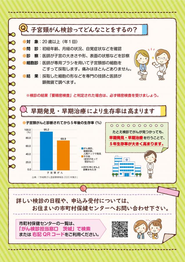 R7sikyuukeigann-leaflet