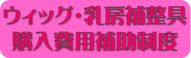 ウィッグ・乳房補正具購入費用補助制度