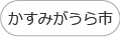 かすみがうら市