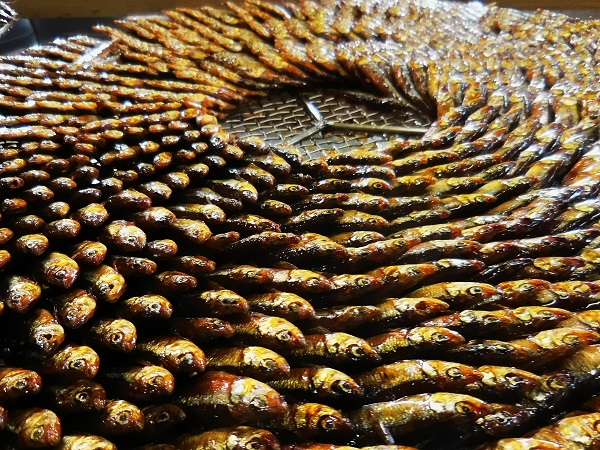 ワカサギ甘露煮、写真