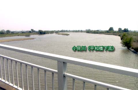 小貝川(平和橋下流)の写真