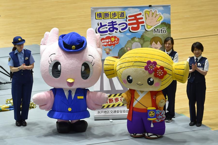 こひばりちゃん・みとちゃん写真