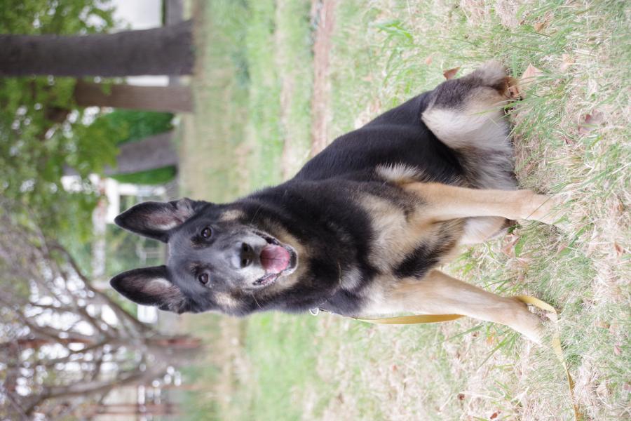 ルティラオブアウトサイダー