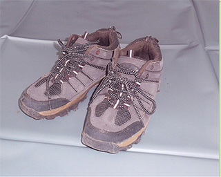 茶色運動靴正面の写真