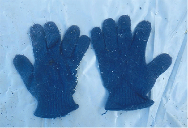 手袋（紺色）の写真