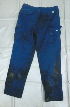 作業ズボン（青色）背面の写真