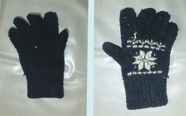 手袋（図柄入り）の写真