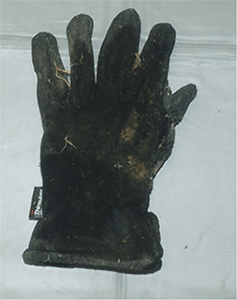 手袋（黒色の写真