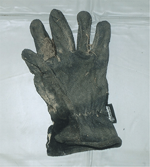 手袋（黒色)の写真2