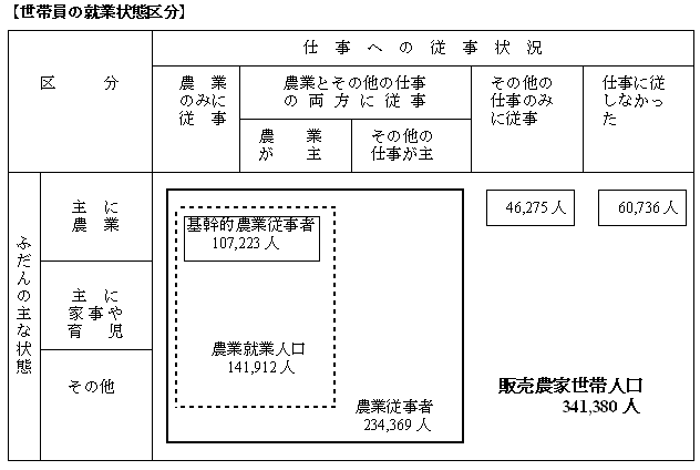 世帯員の就業状態区分