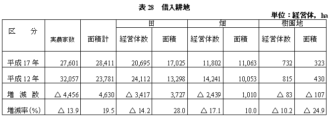 表28借入耕地