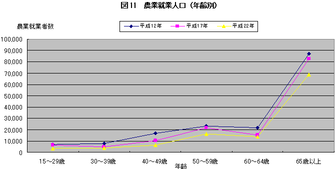 図11農業就業人口（年齢別）