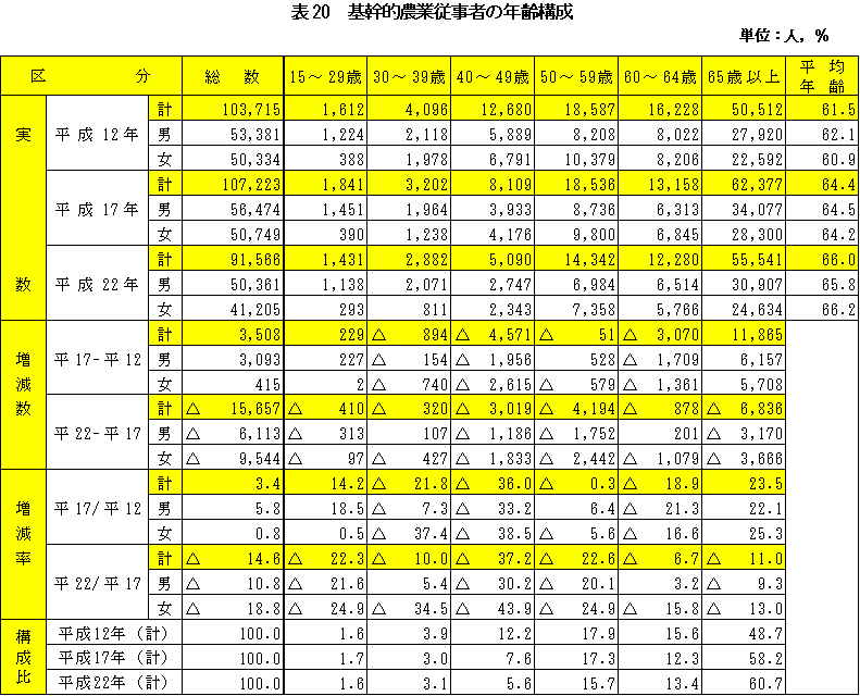 表20基幹的農業従事者の年齢構成