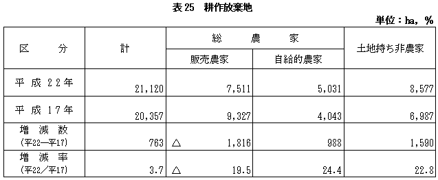 表25耕作放棄地