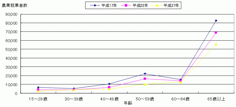 図11農業就業人口（年齢別）のグラフ