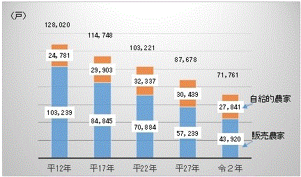 図11：農家数の推移のグラフ