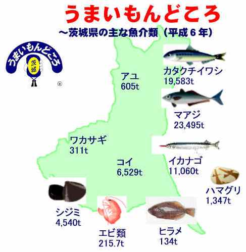 茨城県の主な魚介類