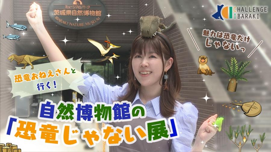 チャレンジイバラキ8月