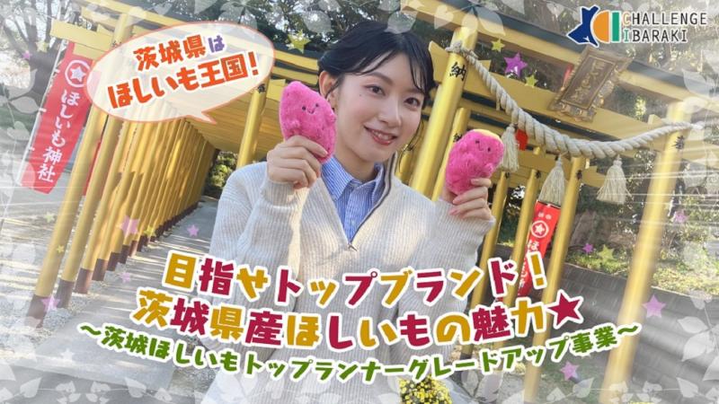 #71チャレンジイバラキ