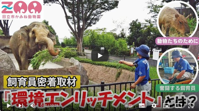 日立市映像