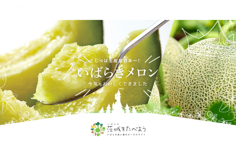 5・6月は、いばらきメロンの最盛期