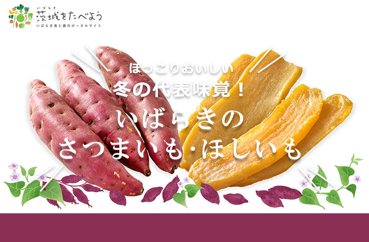 冬の代表味覚！いばらきのさつまいも・ほしいも