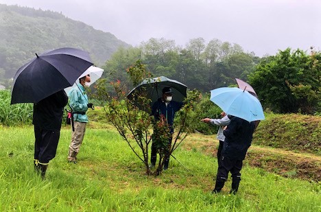 会員と共に生育状況の確認