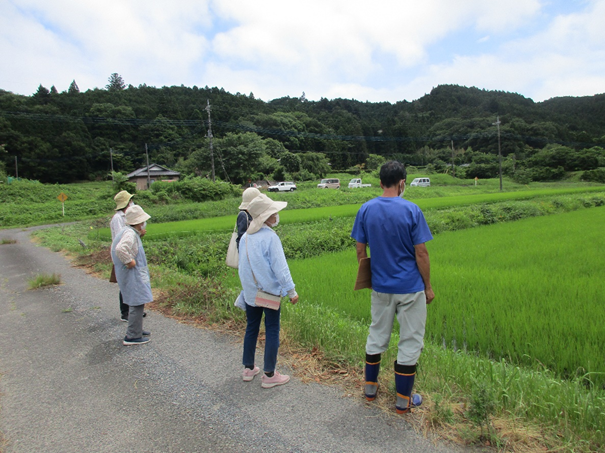 奥久慈うまい米生産協議会常陸太田支部のほ場巡回講習会が行われました／茨城県