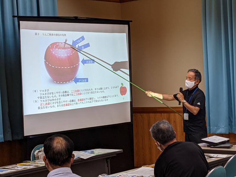 普及センター職員によるりんご果実の説明