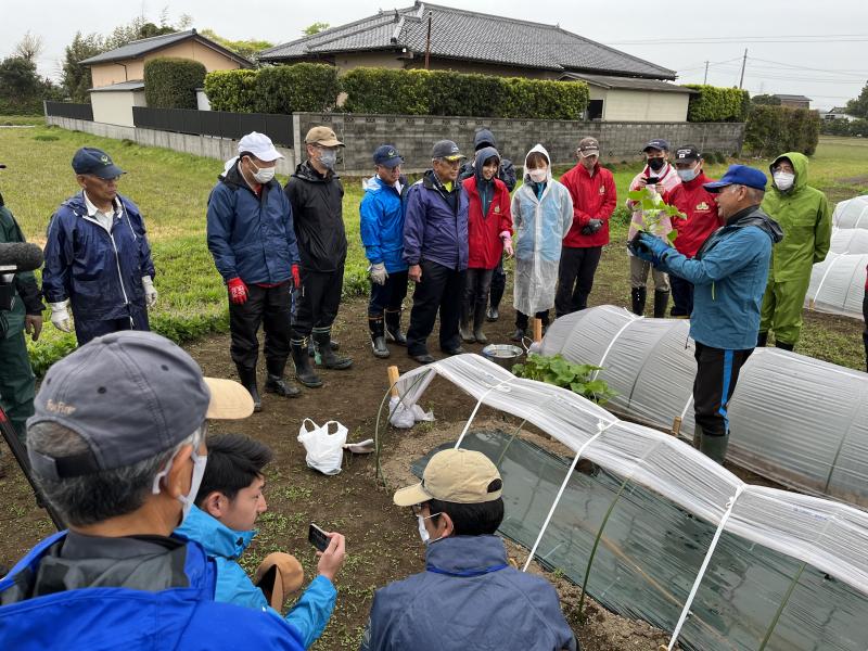 研究会員による定植のやり方の説明