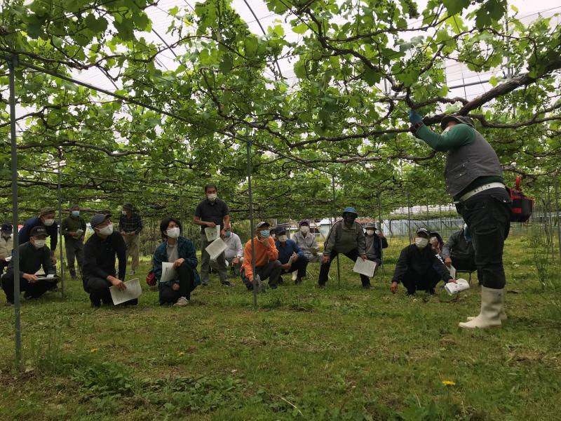 生産部長によるお話