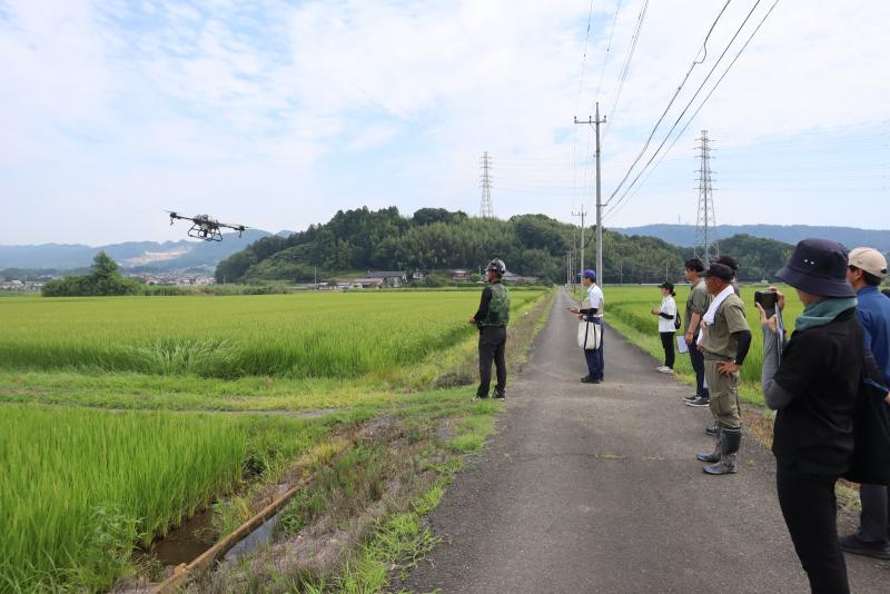田んぼで研修を受ける人たち