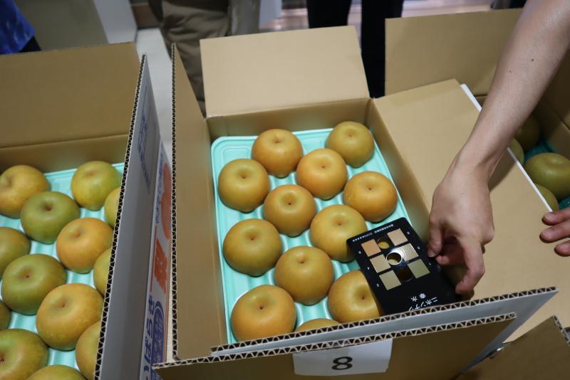 ナシ品評会