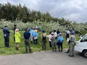 リンゴ摘果講習会