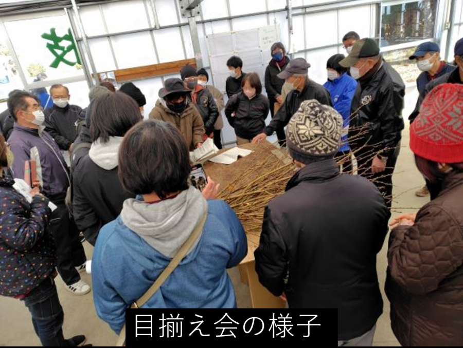 目揃え会の様子の写真