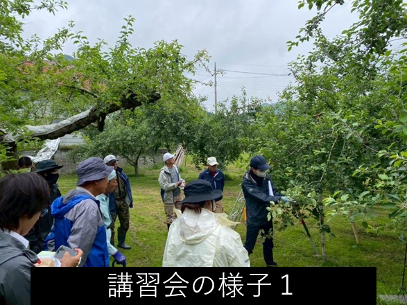 講習会1