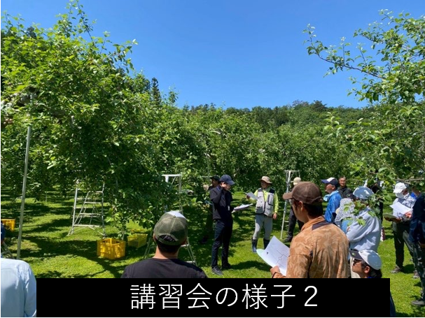 講習会2
