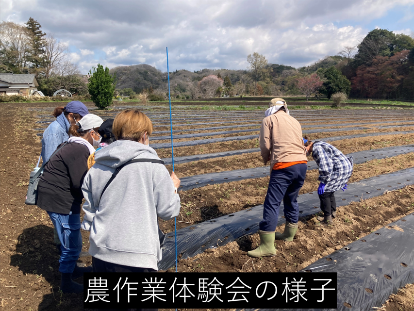 農作業体験会の様子