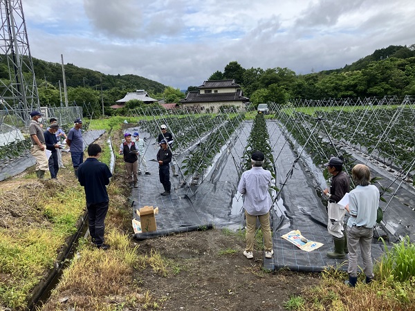 ナス栽培講習会