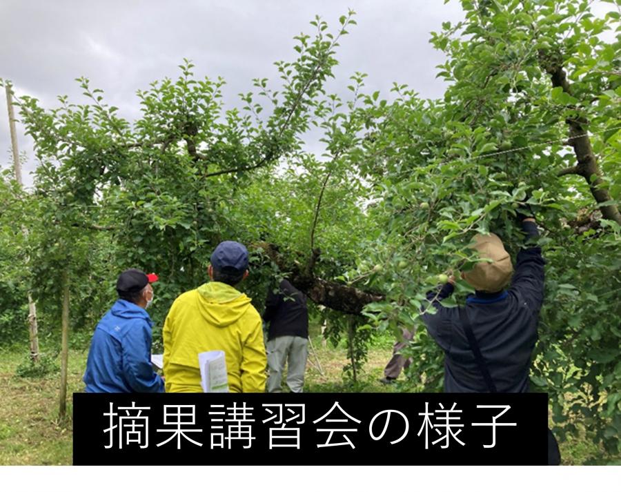 摘果講習会