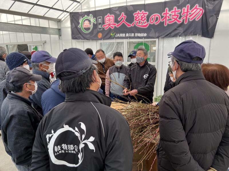 ハナモモ出荷の目揃え会の様子