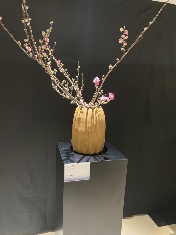 関東東海花の展覧会での花桃展示