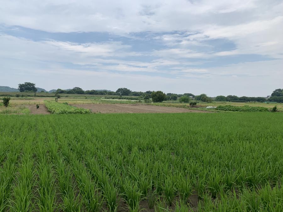 根本地区整備前