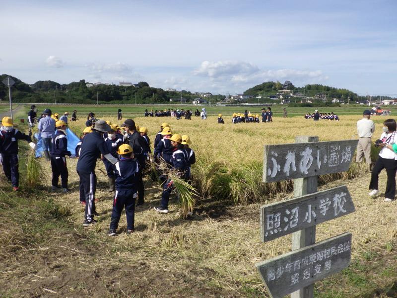 看板と稲刈りの様子