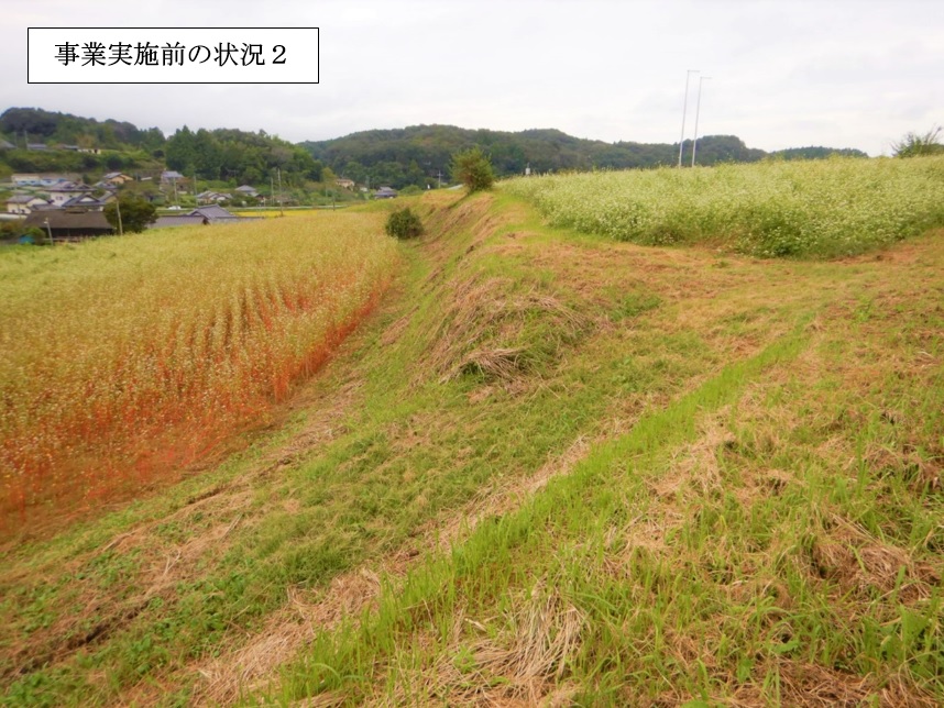 塩田地区整備前1