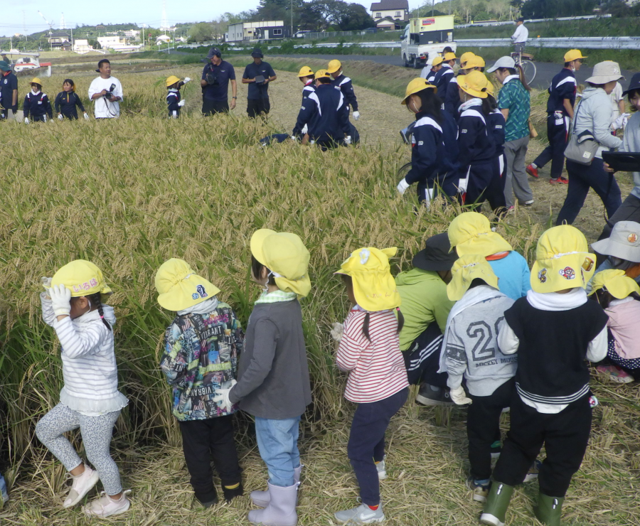 子供園の園児たちの様子
