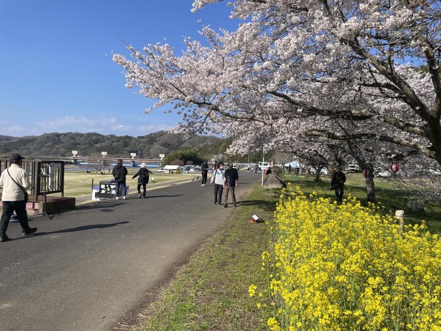 tatsunokuchisekishinnsuikouennharu